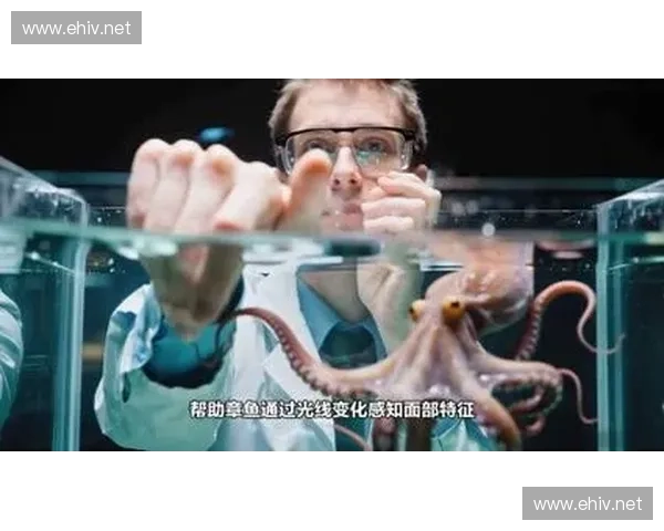 章鱼直播足球赛事预测:深度分析章鱼神奇预言的背后秘密与影响