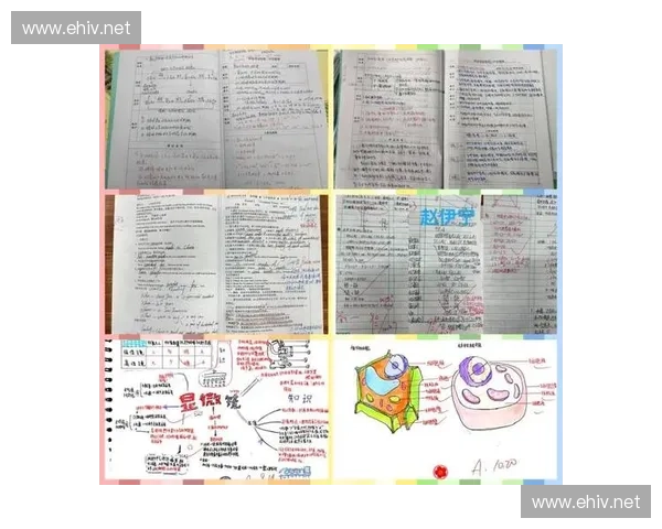以风暴英雄教室为中心构建团队协作与策略提升的全面实用学习指南